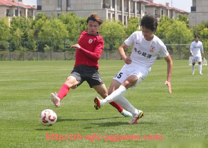 PG模拟器官方网站-法甲球员技术评估及各项能力综合打分分析