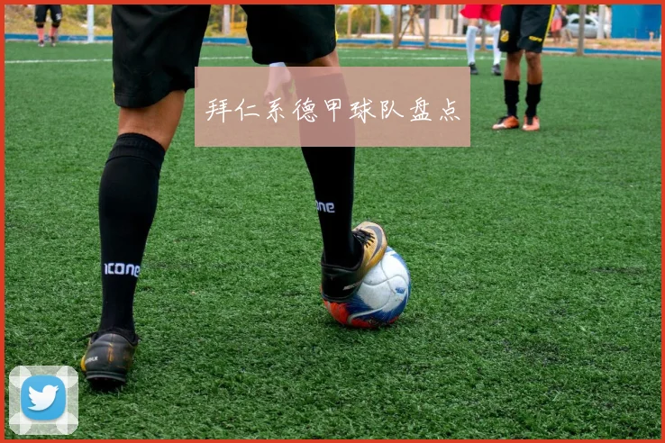 拜仁系德甲球队盘点